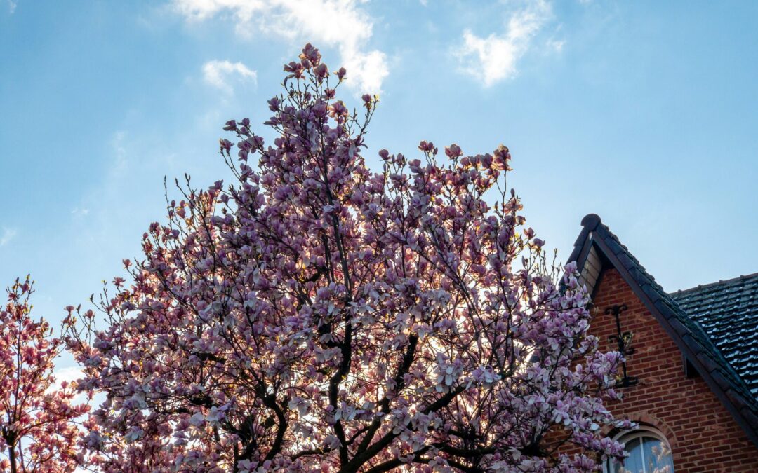 When it comes to the real estate market, expect an early spring