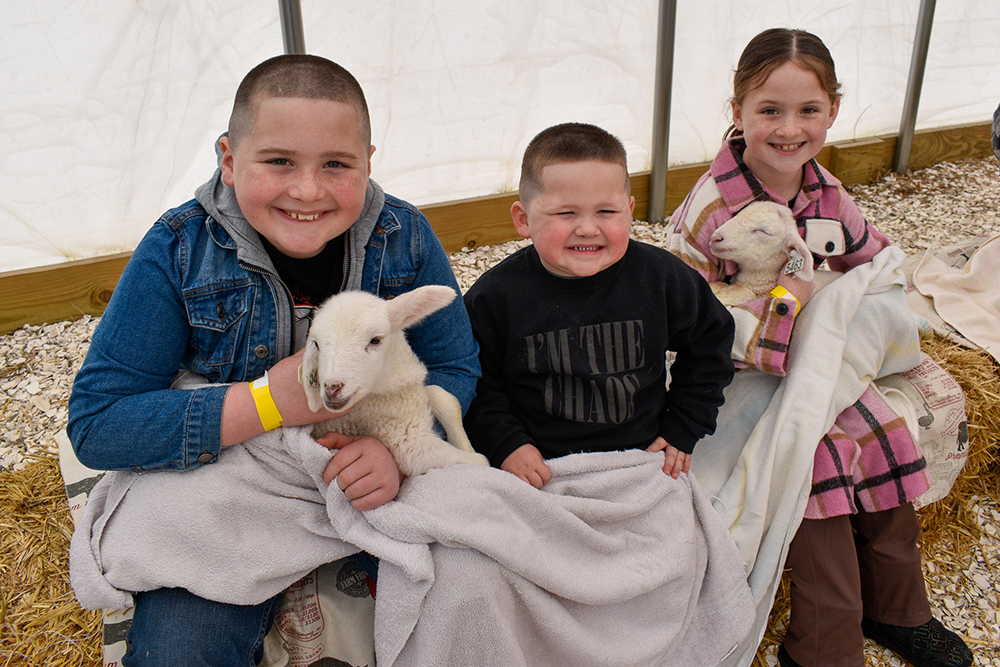 Experience spring at Lamb Camp: A hands-on adventure