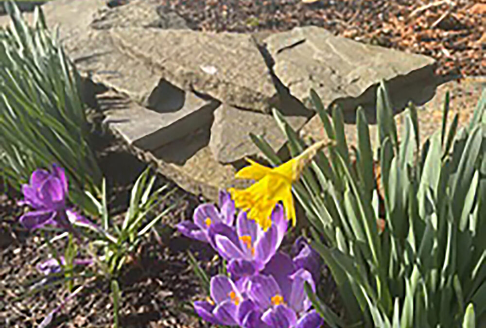 If you really look, you will see the first blush of spring