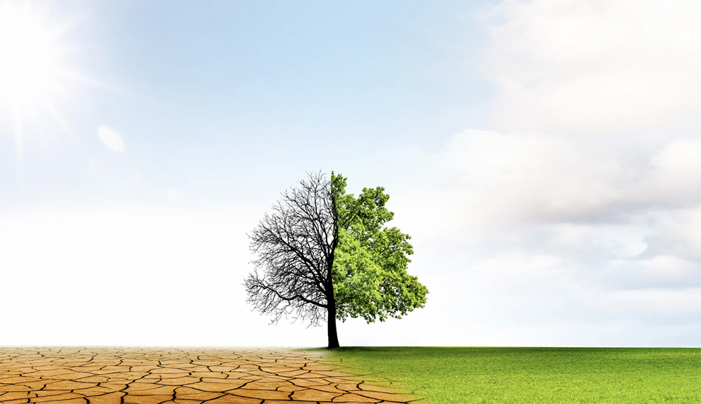 Will drought conditions continue to improve?