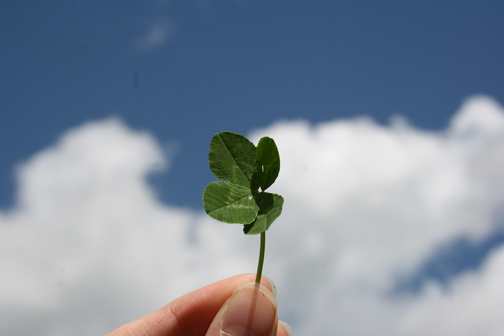 The luck of the Irish—or lack thereof