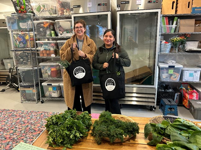 Harvesting Opportunity: ACEA Strengthens Community Ties and Tackles Food Insecurity