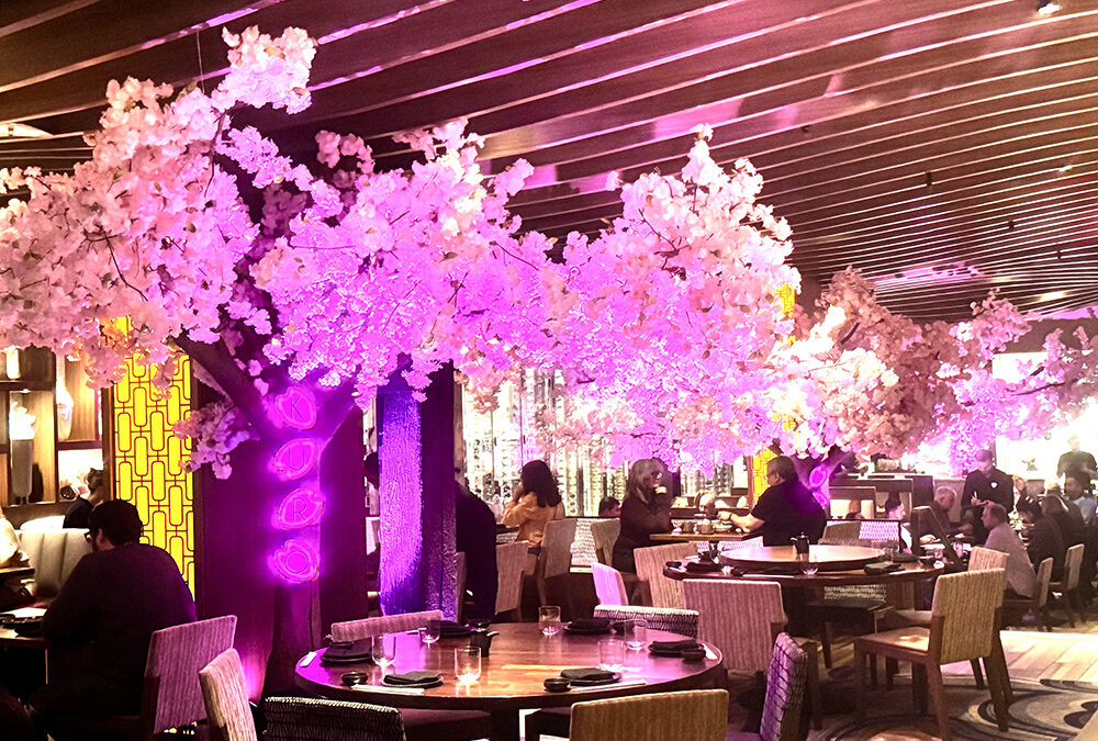 Kuro at Hard Rock springs into seasonal celebration