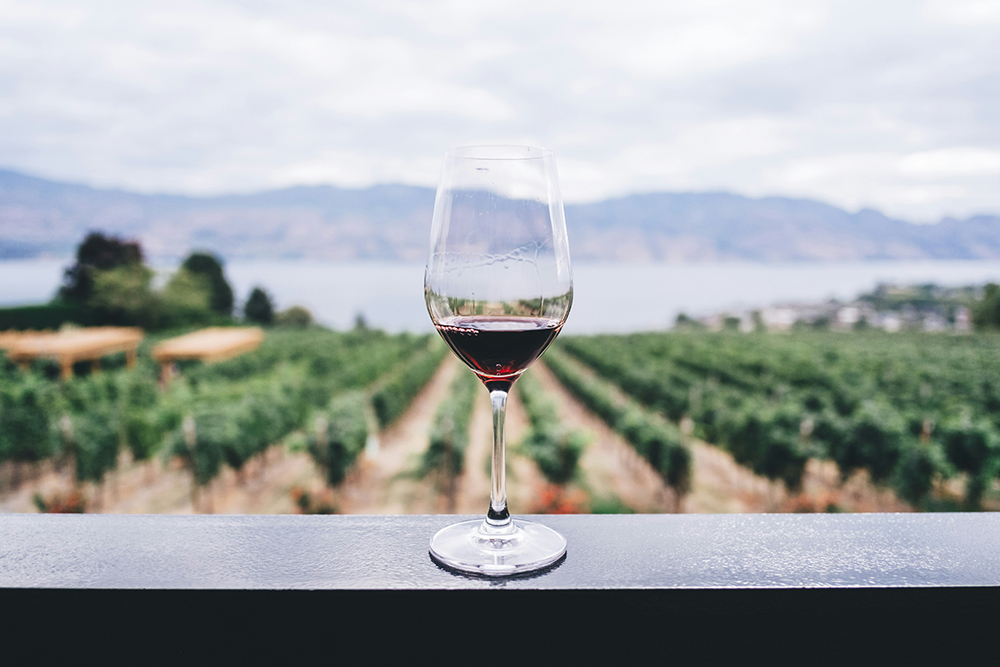 The impact of climate change on wine