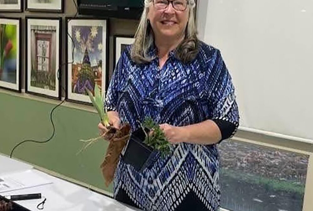 Green Thumb Garden Club of Somers Point hosts a plant propagation presentation
