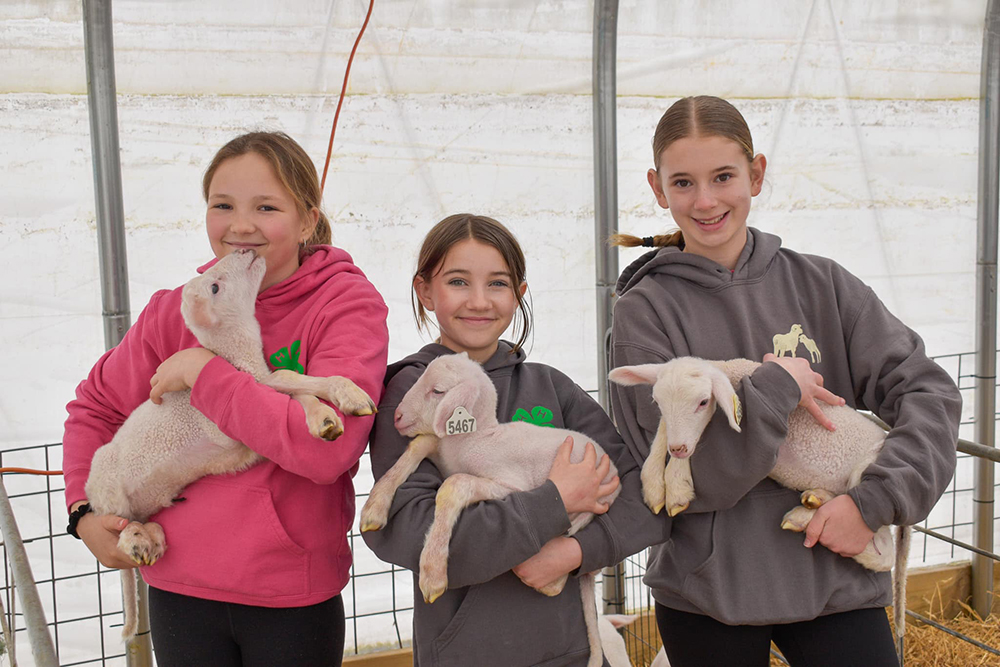 Ten fun spring activities to enjoy as the weather warms up